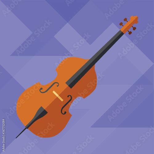 bass guitar