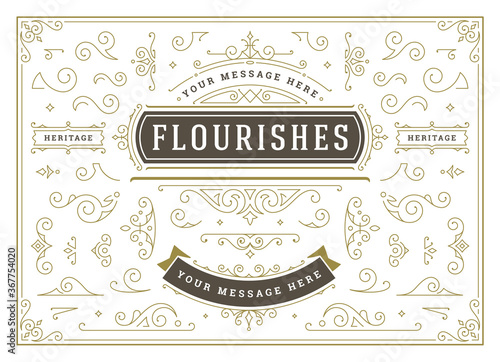 Vintage ornaments swirls and scrolls decorations design elements vector set, flourish ornate calligraphic combinations