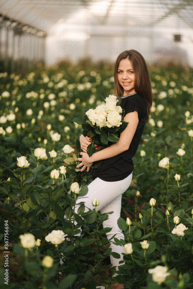 Fototapeta premium Young woman with bouquet of white roses stand inside roses plantation in greenhouse