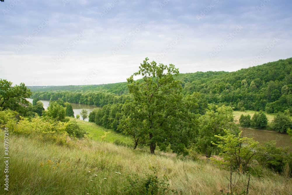 Beautiful summer landscape of green nature. Forest, river and hills