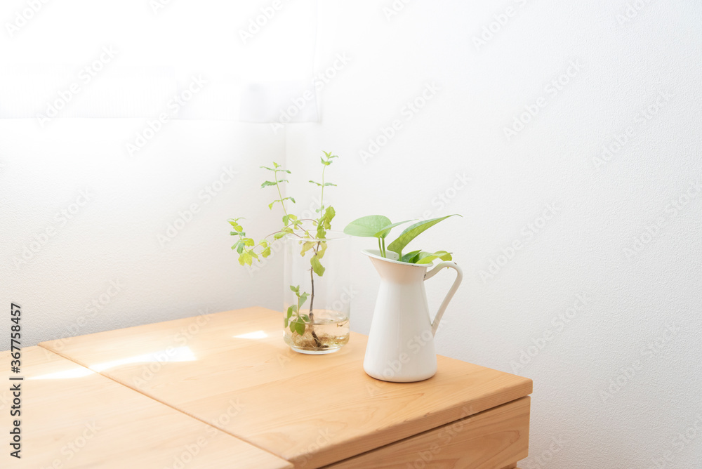 明るい窓辺の木製デスクと観葉植物