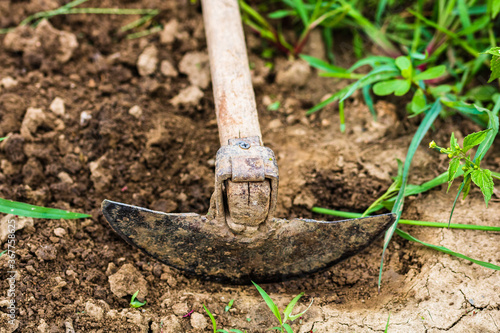 Quadro su tela Close up of hoe tool for digging isolated in garden on the ground