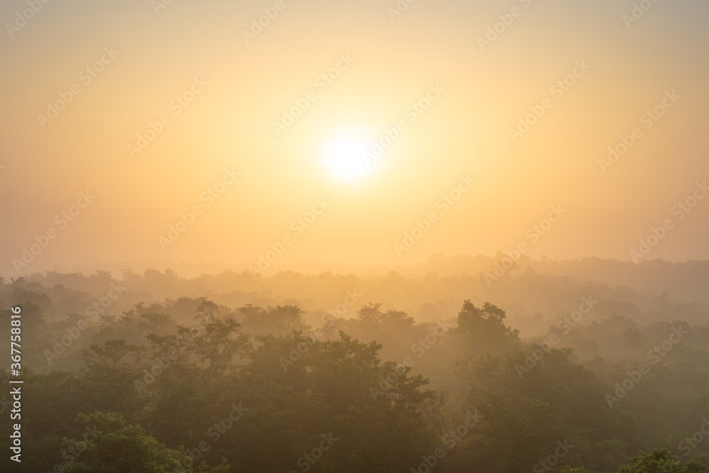 Photo of the Jungle during the sunrise taken from the Helicopter in Sundarbans, West Bengal, India. Perfect for the background of the website or postcard, full of the negative space.