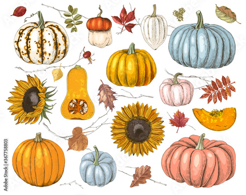 Hand drawn fall collection