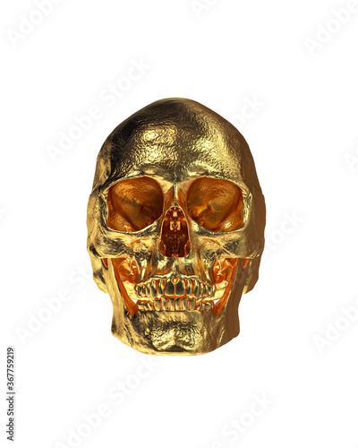 Gold Human Skull  Isolated on White Background