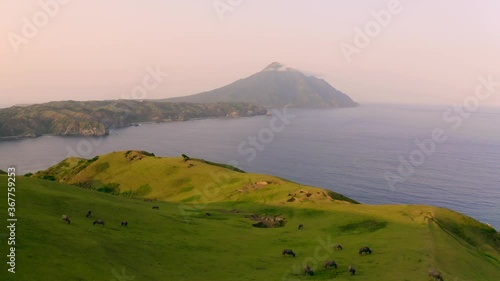 Batanes Drone Landscape Marlboro Hills with Carabo Grazing and Mountain in Background