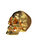 Gold Human Skull  Isolated on White Background