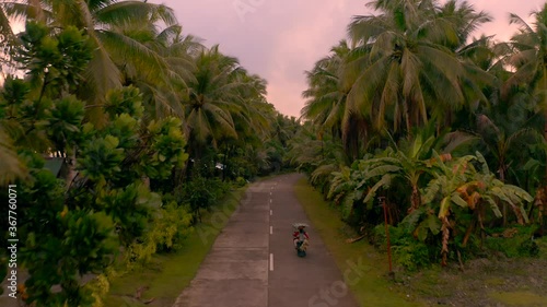Southern Leyte Philippines Drone During Sunrise Motorcycle Road Trip with Hundreds of Coconut Trees