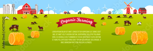 Livestock farm landscape with cows, field, haystacks, barn, mill, wind turbine, green meadow. Organic farming background in flat style with grazing livestock, village buildings, tractor, copy space