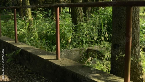 An old abandoned bridge. abandoned bridge in the park