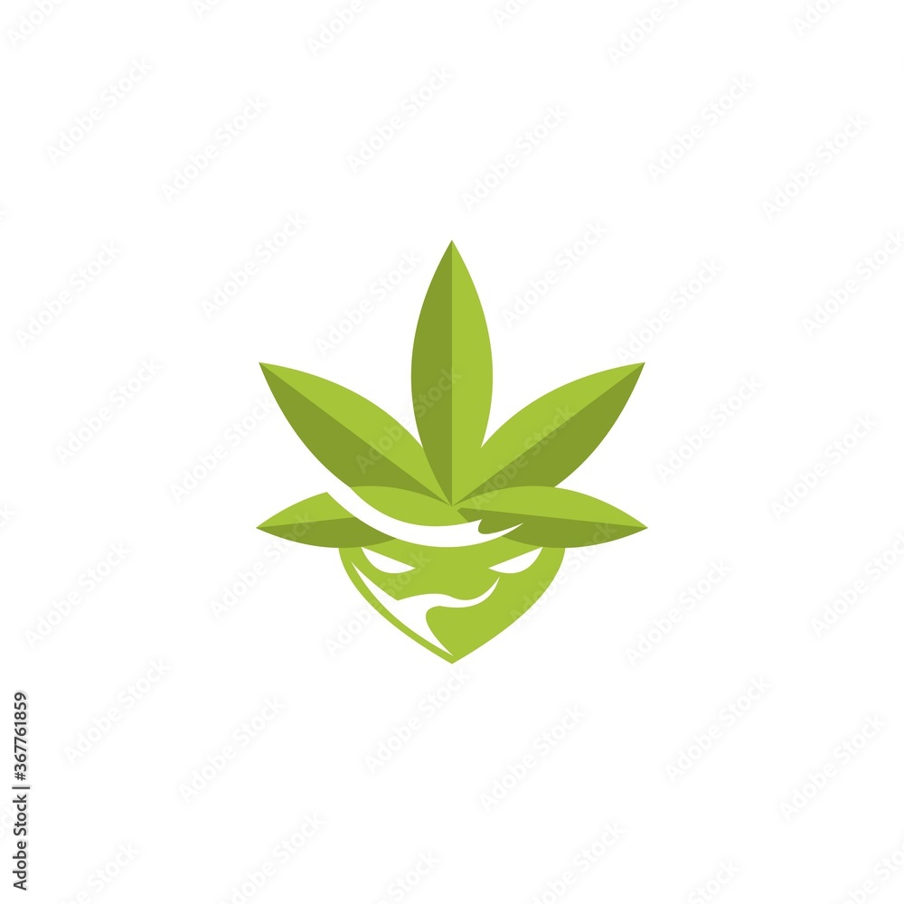 Logo concept for Ninja Hemp