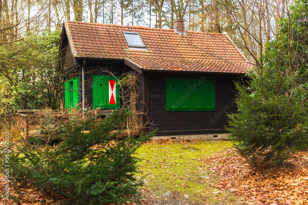 Small house in the woods with beautiful green shutters on the windows
