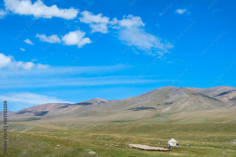 Yurt and sheep herd, Ile-Alatau National Park, Assy Plateau, Almaty, Kazakhstan, Central Asia