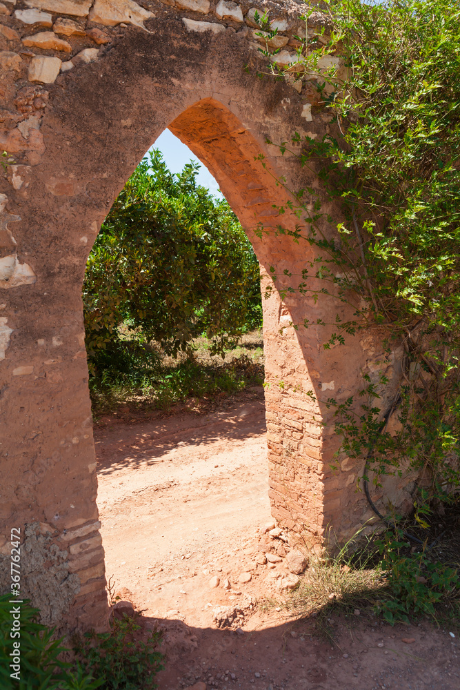 Orange trees plantation with old bricked ancient fence, Spain.