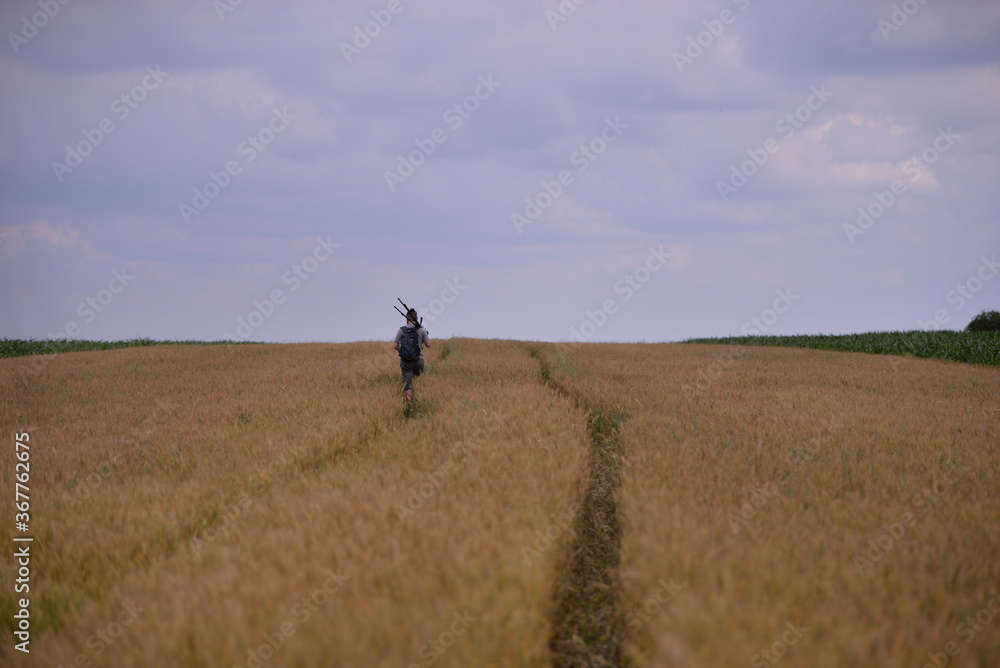 a photographer carrying a tripod on the wheat field. solo outdoor activity a photographer carrying a tripod on the wheat field. solo outdoor activity