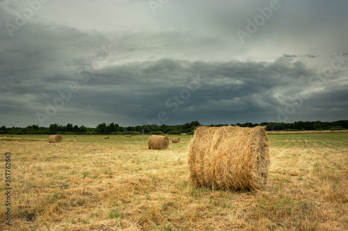 Hay bales in a field and cloudy sky