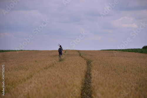 a photographer carrying a tripod on the wheat field. solo outdoor activity