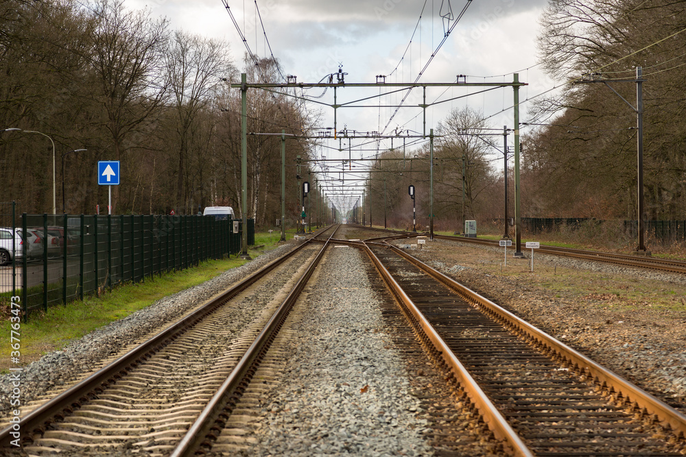 Train tracks between trees in wintertime 