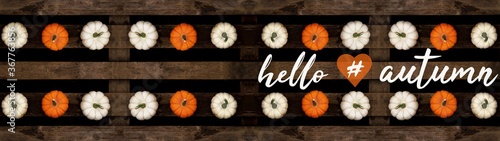 Hello / happy autumn background banner panorama - Top view from different autumnal orange and white colorful pumpkins on old rustic wooden pallet and hand drawing lettering