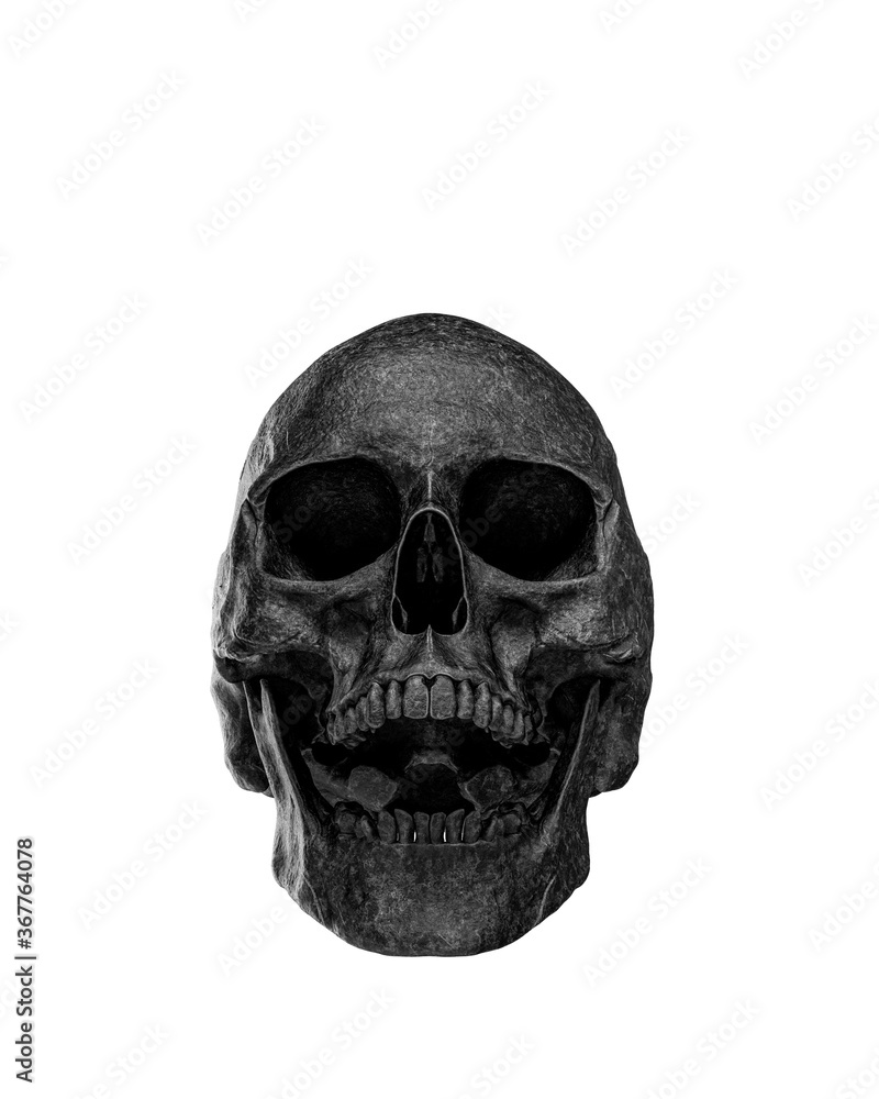 Fototapeta premium Black Human Skull Isolated on white background