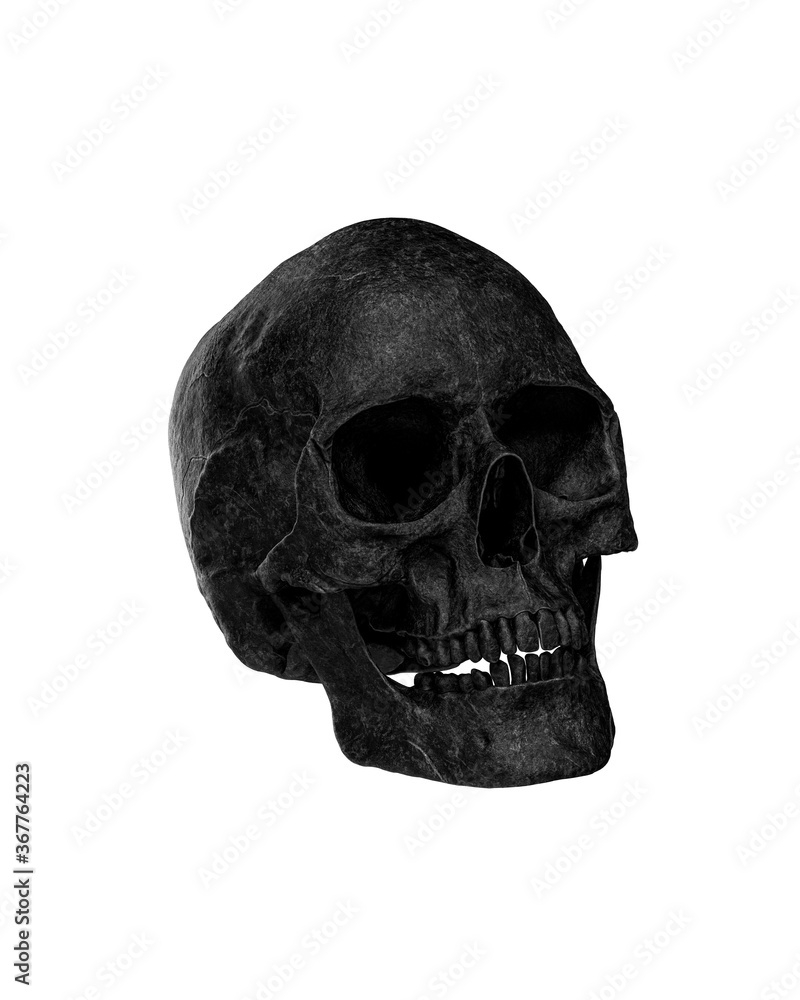 Obraz premium Black Human Skull Isolated on white background