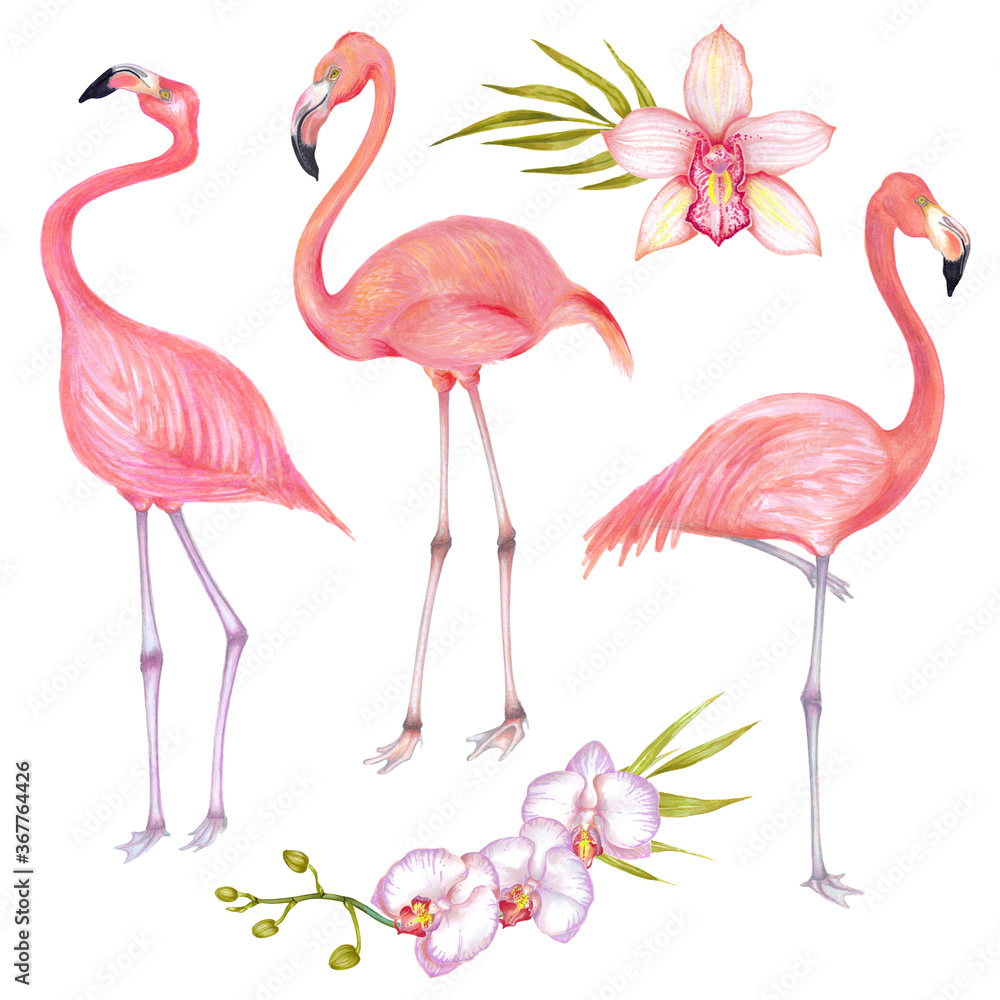 Fototapeta premium Watercolor illustration of pink flamingo bird set with pink orchid flowers and bamboo leaves.
