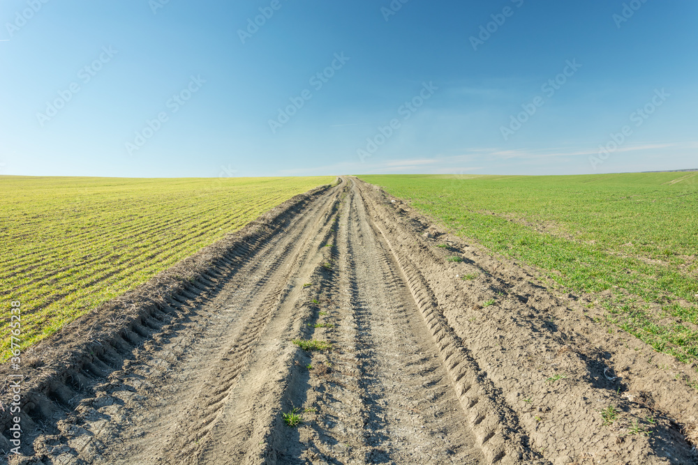 Agricultural tractor wheel marks on dirt road, fields, horizon and blue sky