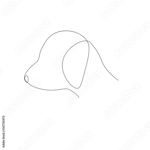 Dog on white background. Vector illustration