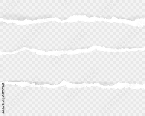 Ripped paper strips realistic