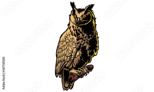 owl