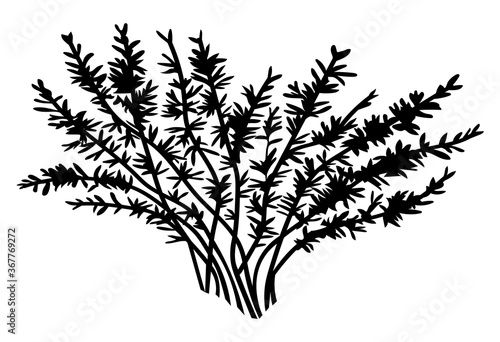 Black silhouette of bush. Leaves at bush branches. Simple raster icon. Nature concept. Black plant isolated at white background. Decorative element. Shadow of plant. Vector black illustration