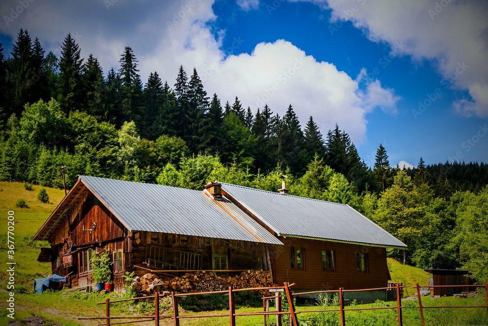 Old rural wooden house with newly built building on hillside with woods.