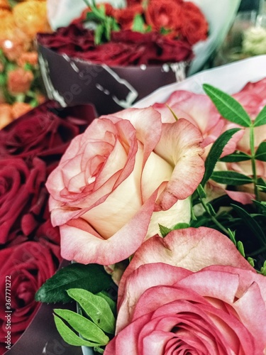 Background with roses. Bouquet of flowers.