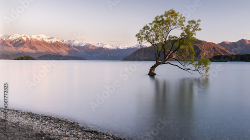 Wanaka