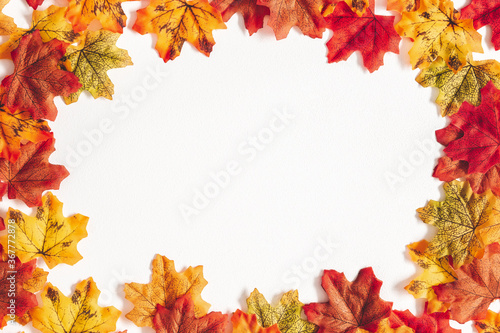 Autumn composition. Frame made of maple leaves on white background. Autumn  fall  thanksgiving day concept. Flat lay  top view  copy space