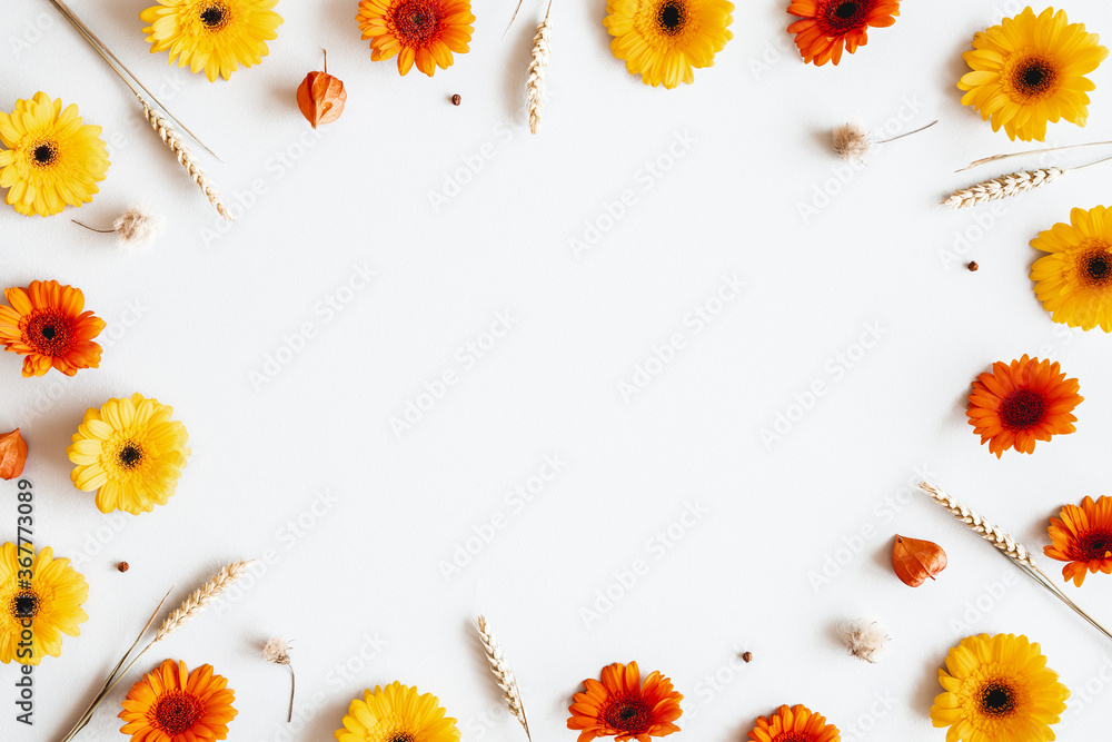 Autumn composition. Gerbera flowers, spica ears on white background. Autumn, fall concept. Flat lay, top view