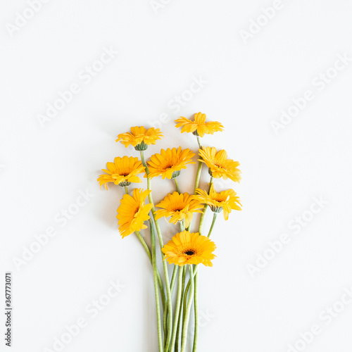 Autumn composition. Gerbera flowers on white background. Autumn, fall concept. Flat lay, top view, copy space