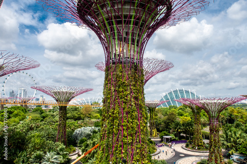 Singapore. Close-up view of Supertree Grove tree trunk with illumination installations and overgrown plants. Gardens by the Bay park with Flower Dome and Supertree Grove in the background.