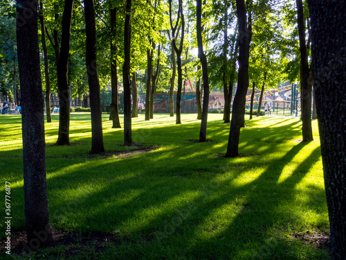  Blurred background with green grass and he trees with sunlight and shadow. For your Spring, Summer Park Background.