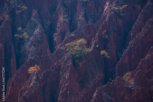 Eroded landscape, Quebrada de las Conchas, Cafayate, Valles y Quebradas, Argentina, South America, America