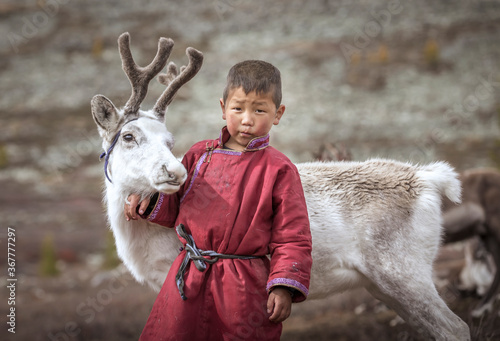 tsaatan boy with a reindeer in a landscape of northern Mongolia photo