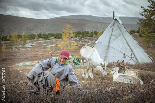 tsaatan man with his reindeer in nature of Mongolia photo