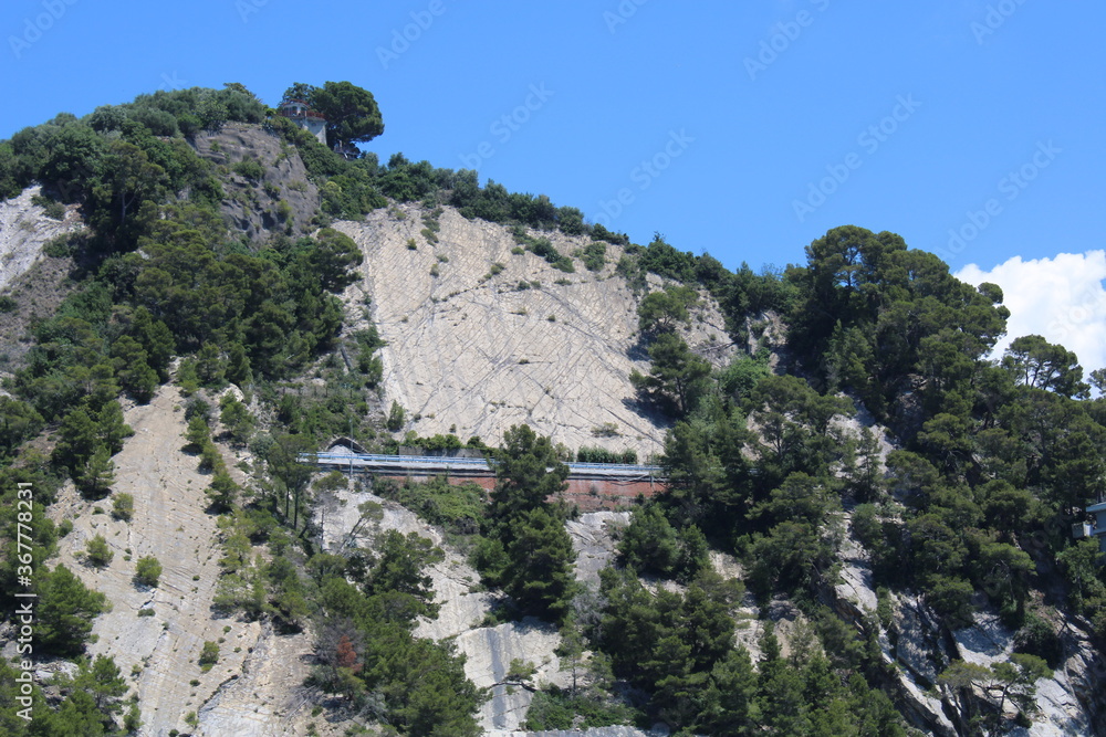 Strada aggrappata alla roccia con alberi Strada aggrappata alla roccia con alberi
