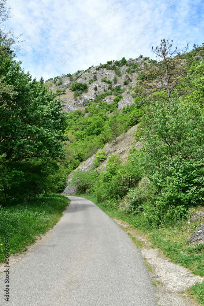 Road in the mountain near Lazberc, Hungary