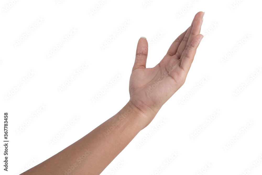 Close-up Empty hands, hands on white background, Close-up Empty hands, hands on white background,