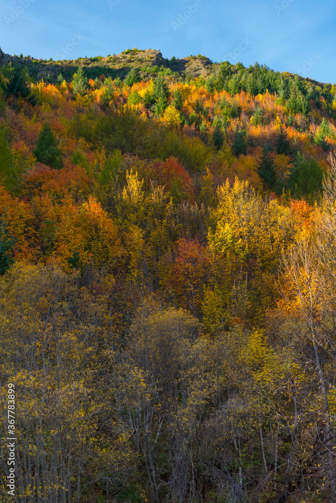 Autumn colors in the mountains surrounding Arrowtown in New Zealand