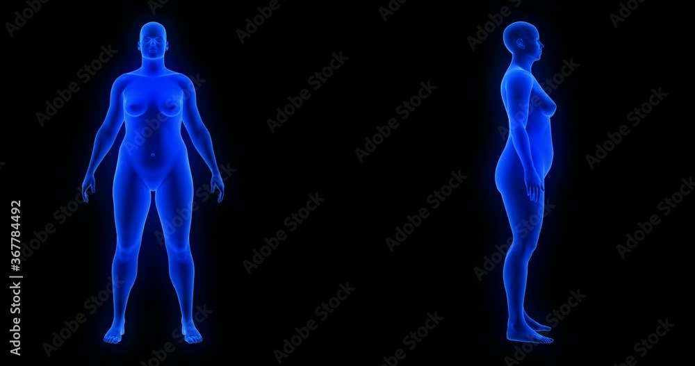Weight loss body transformation - front and side view, woman theme. Blue Human Anatomy Body 3D Scan render, black background Weight loss body transformation - front and side view, woman theme. Blue Human Anatomy Body 3D Scan render, black background