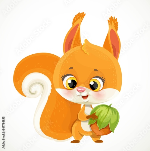 Cute little red squirrel with hazelnuts in paws isolated on white background
