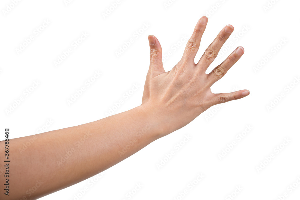 woman hand show stop sign isolated on white background. woman hand show stop sign isolated on white background.