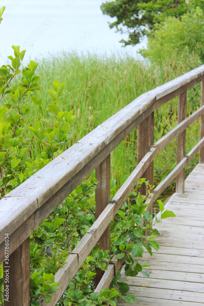 wooden bridge in the woods wooden bridge in the woods